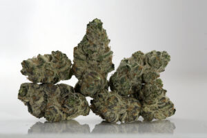 Disco Diesel