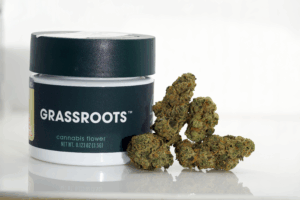 Foreign Kush Mints