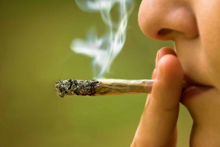 Which Strain is Right for Me