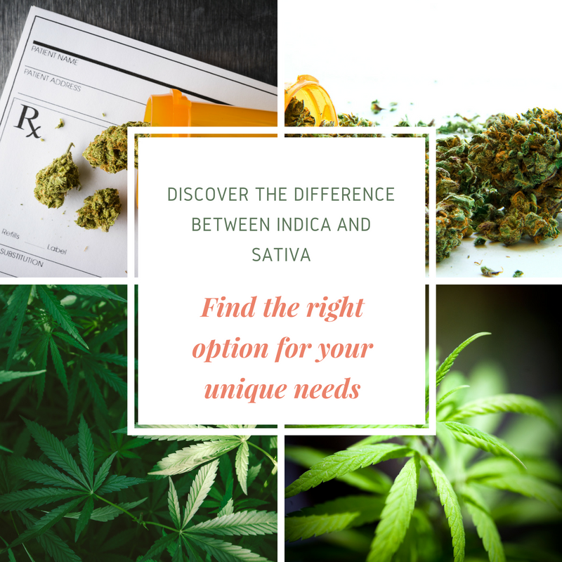 indica vs sativa