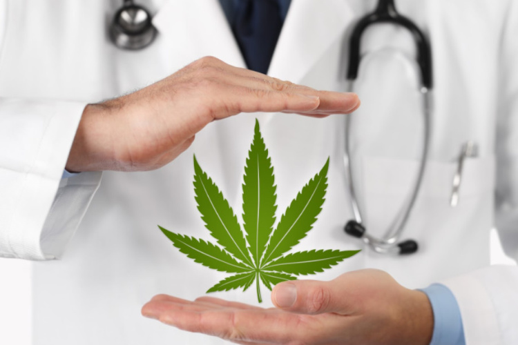treating seizures doctor with flower